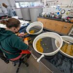 Unpacking What “Academic Performance Metrics” Really Means