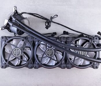 pexels-photo-22668042