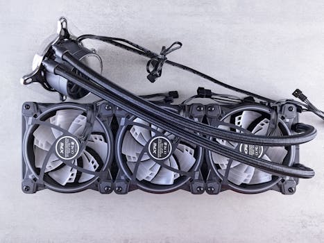 pexels-photo-22668042