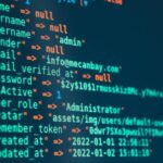 Beyond the Buzzwords: Cultivating a Deeper Well of Productivity