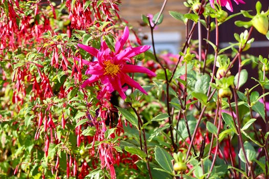 Beyond the Basic Bush: Unearthing Your Dream Garden Landscaping Ideas