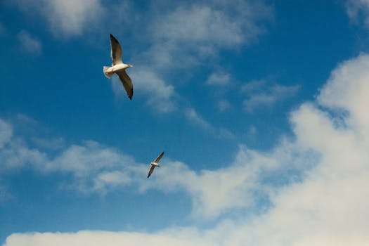 Navigating the Cloud Migration Maze: It’s Not Just About Moving Stuff