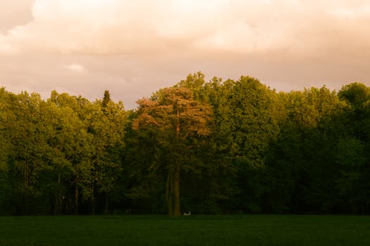 Navigating the Shifting Sands: Your Pragmatic Guide to Startup Ecosystem Trends